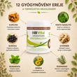 Kép 2/10 - HillVital Gyógyfüves Mesterbalzsam