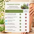 Kép 4/10 - Psorisoft Extra