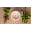 Kép 6/6 - Dermasoft Extra