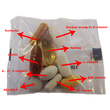HillVital Multivitamin HillVital Multivitamin