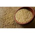 A quinoa