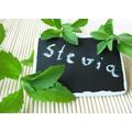 Stevia (Sztívia)