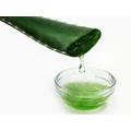 Az Aloe Vera felhasználása