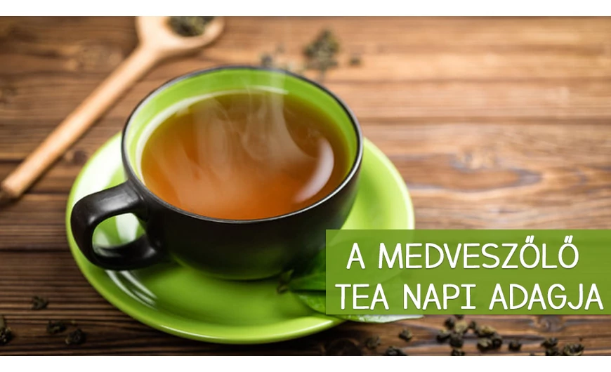 A medveszőlő adagolása