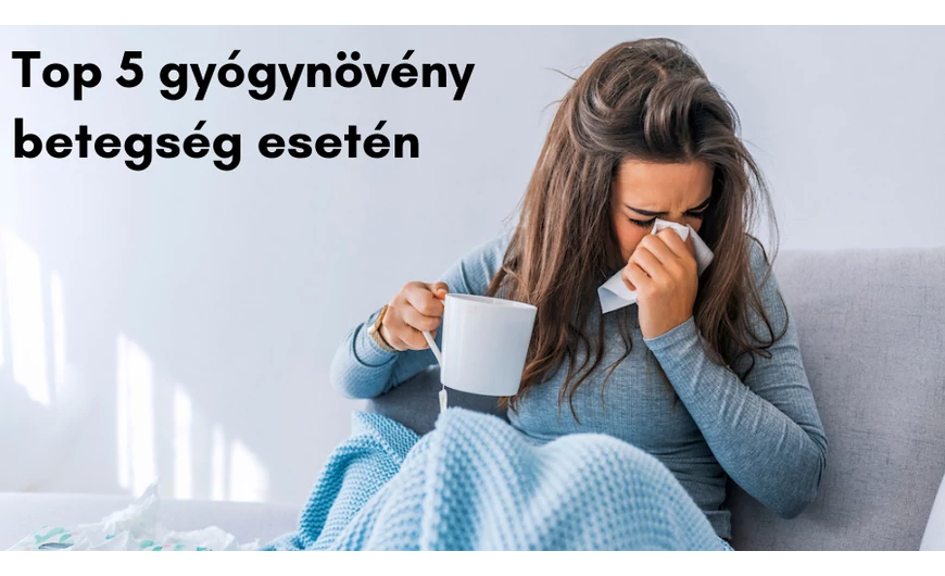 Top 5 gyógynövény, amitől még az influenza is kifekszik