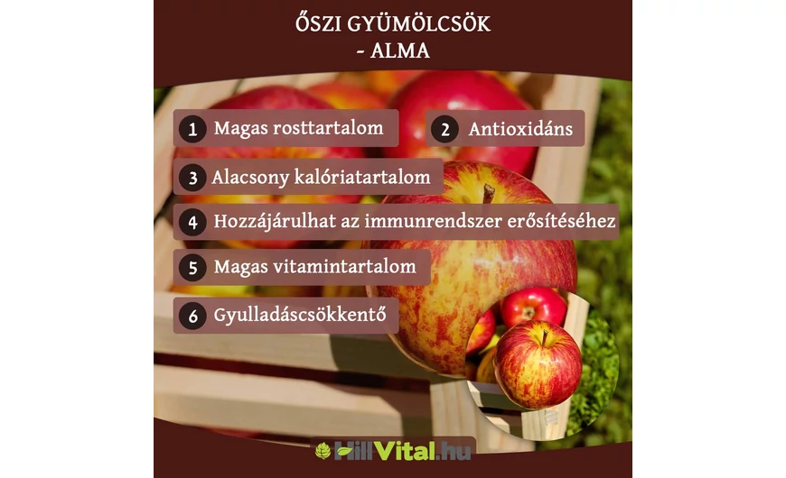Őszi gyümölcsök - Alma