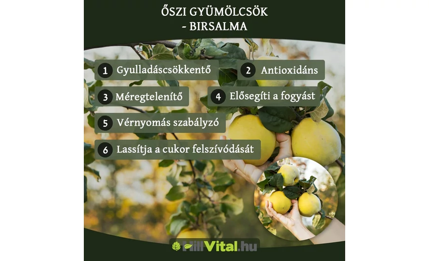 Őszi gyümölcsök - Birsalma