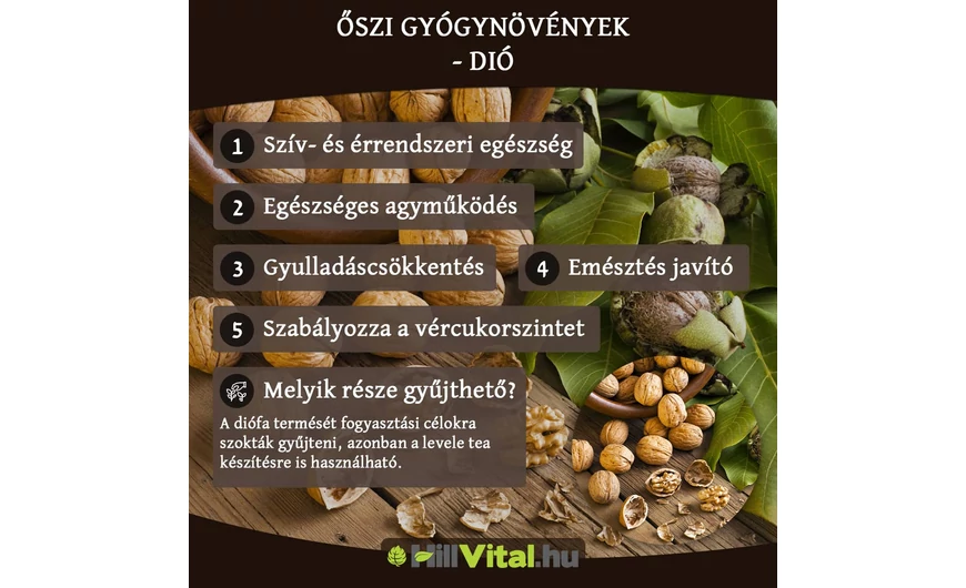 Őszi gyógynövények - Dió