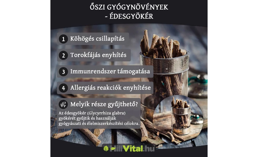 Őszi gyógynövények - Édesgyökér