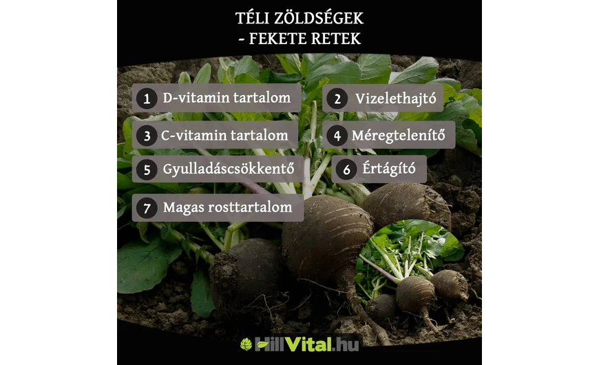  Téli zöldségek - Fekete retek