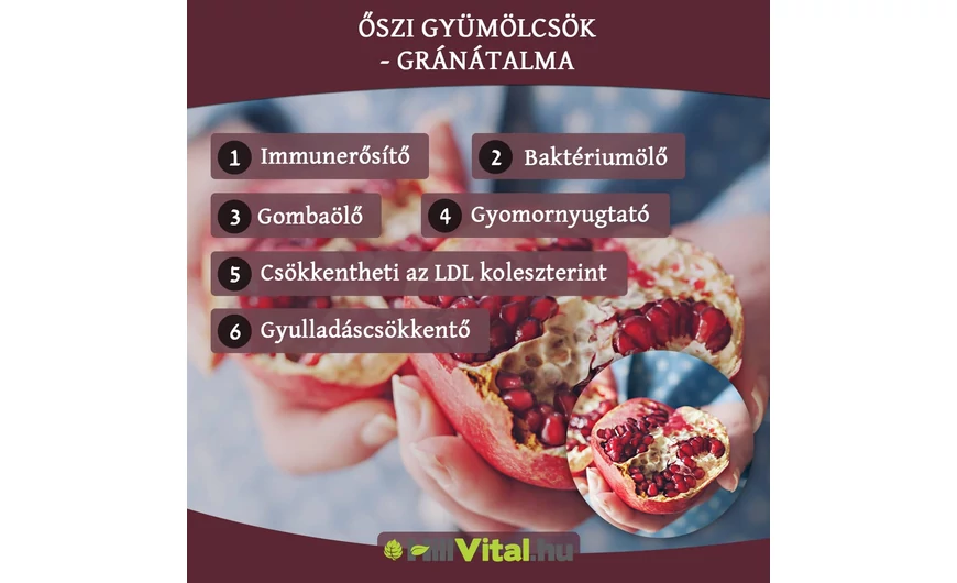 Őszi gyümölcsök - Gránátalma