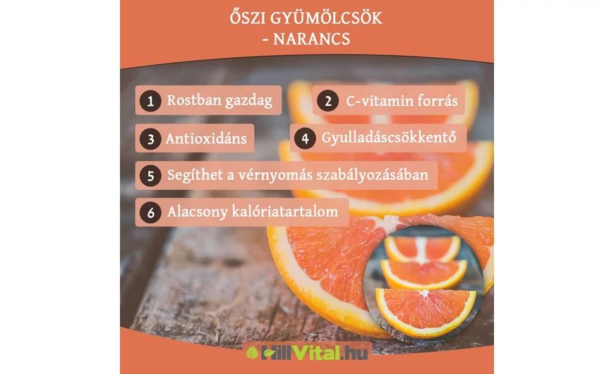 Őszi gyümölcsök - Narancs