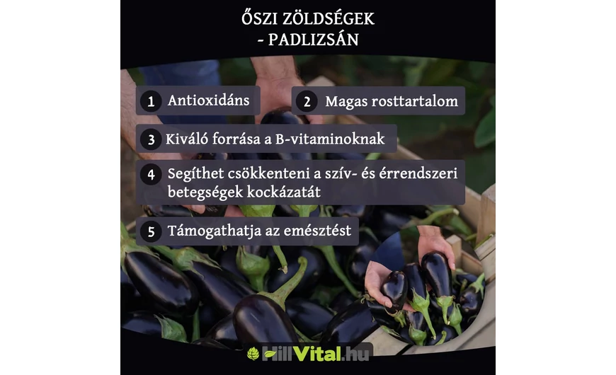 Őszi zöldségek - Padlizsán