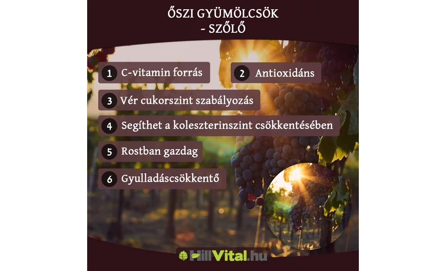 Őszi gyümölcsök - Szőlő