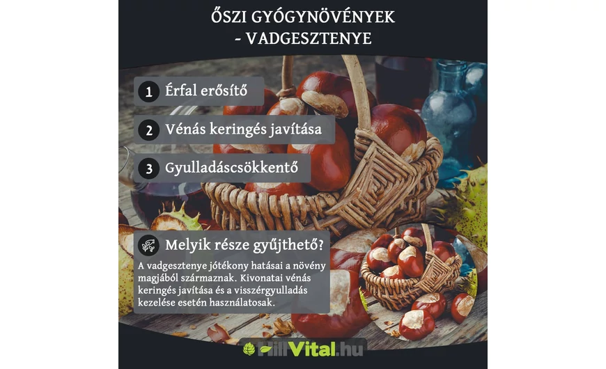 Őszi gyógynövények - Vadgesztenye