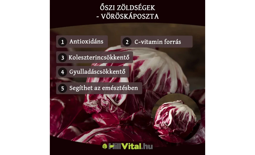 Őszi zöldségek - Vöröskáposzta