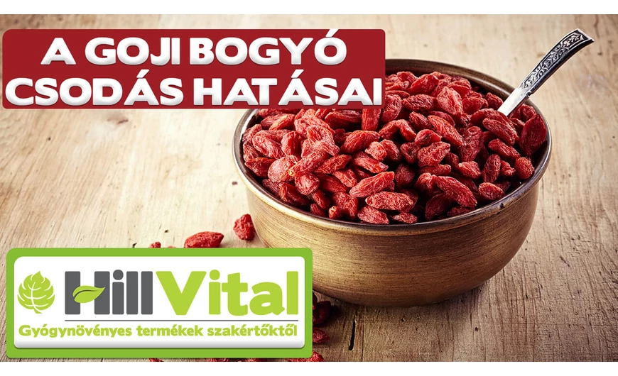 Ismerd meg a goji bogyó nagyszerű hatásait!