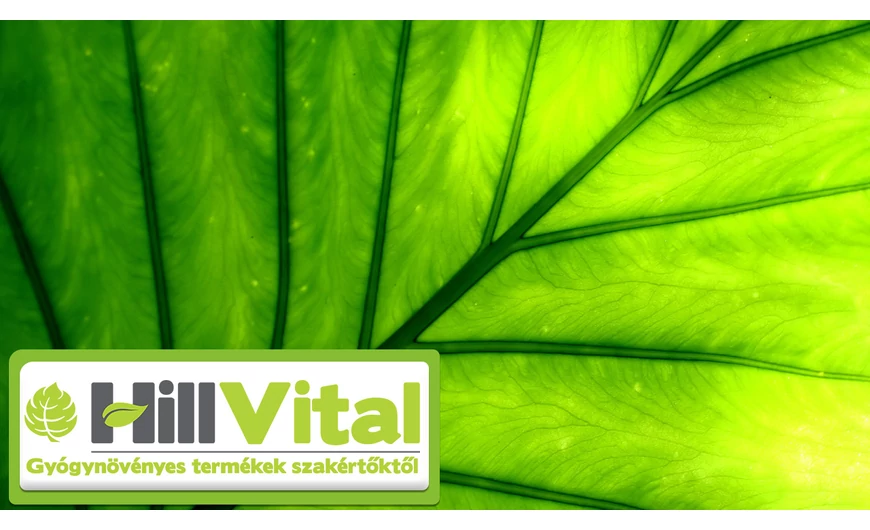 Minden amit tudni kell a klorofillról! Beszélgetés Lénárt Gittával