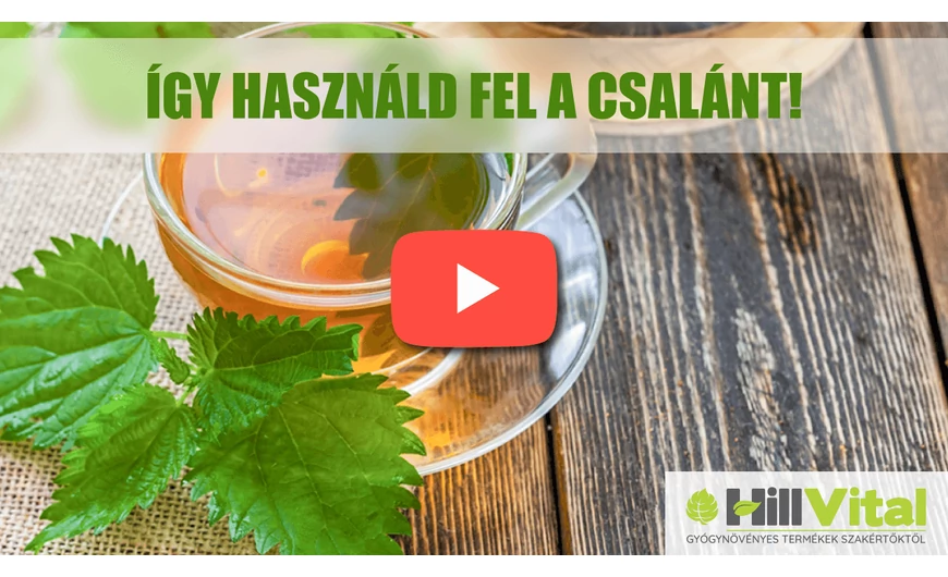 A csalán felhasználási módjai