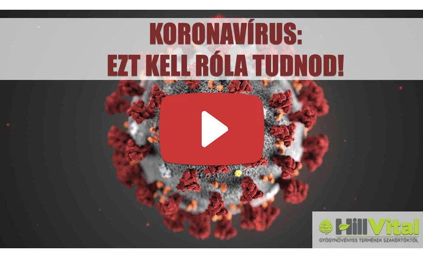 Koronavírus: Röviden ezeket kell róla tudnod jelenleg!