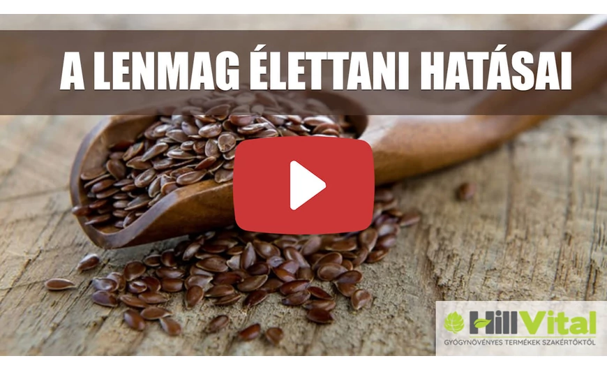 Nagyszerű hatásokkal rendelkezik a lenmag!