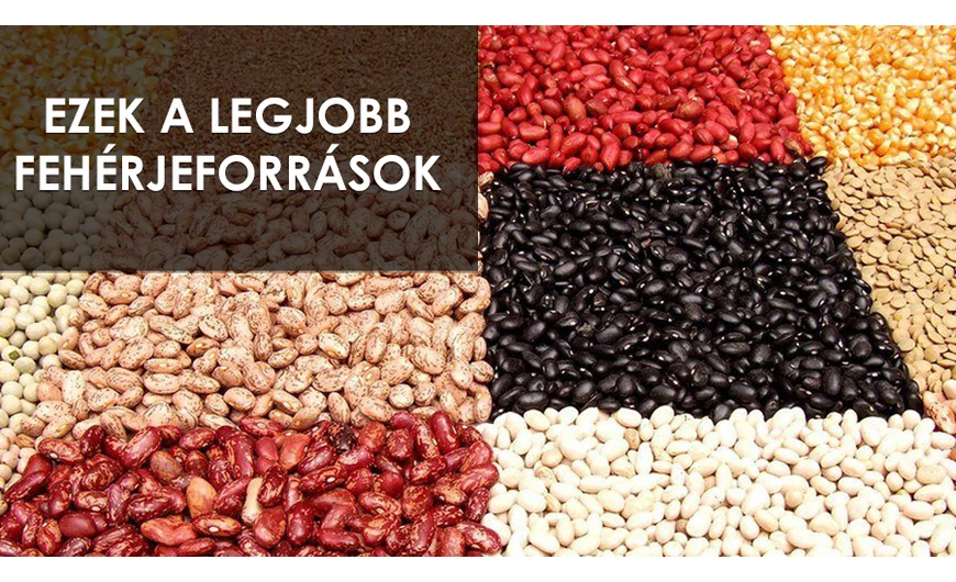 Ismerd meg a legjobb fehérjeforrásokat