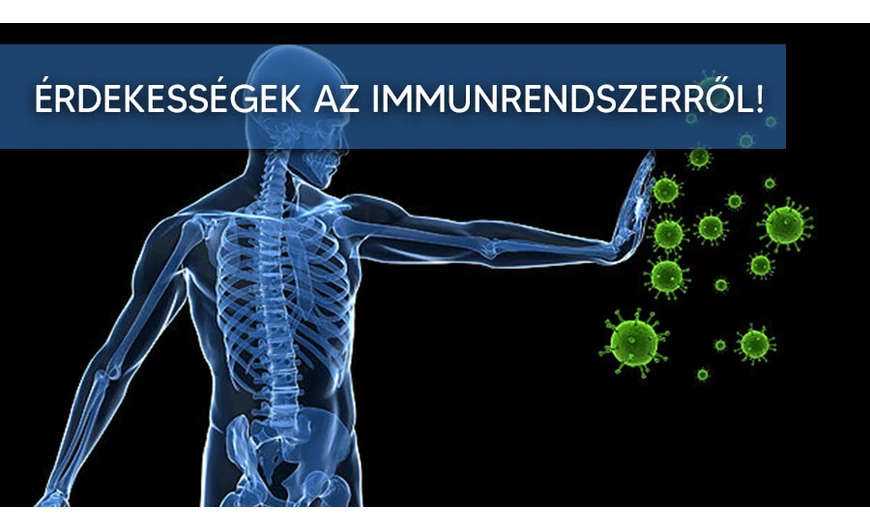 Az immunrendszerünkről