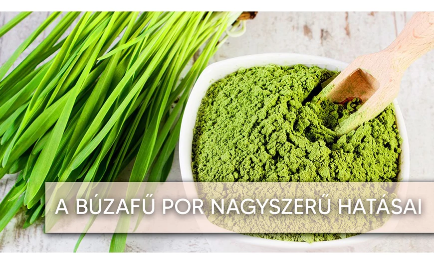 A búzafű por