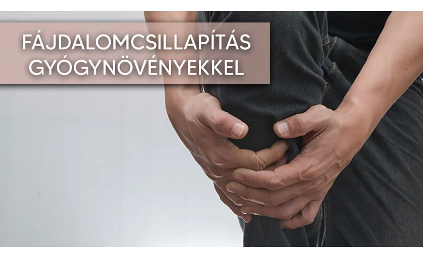 Csillapítsd a fájdalmat gyógynövénnyel!