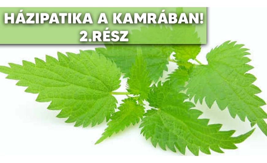 5 hasznos konyhai gyógynövény