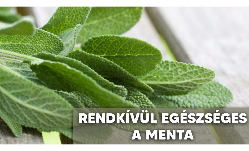 Egészséges a zsálya