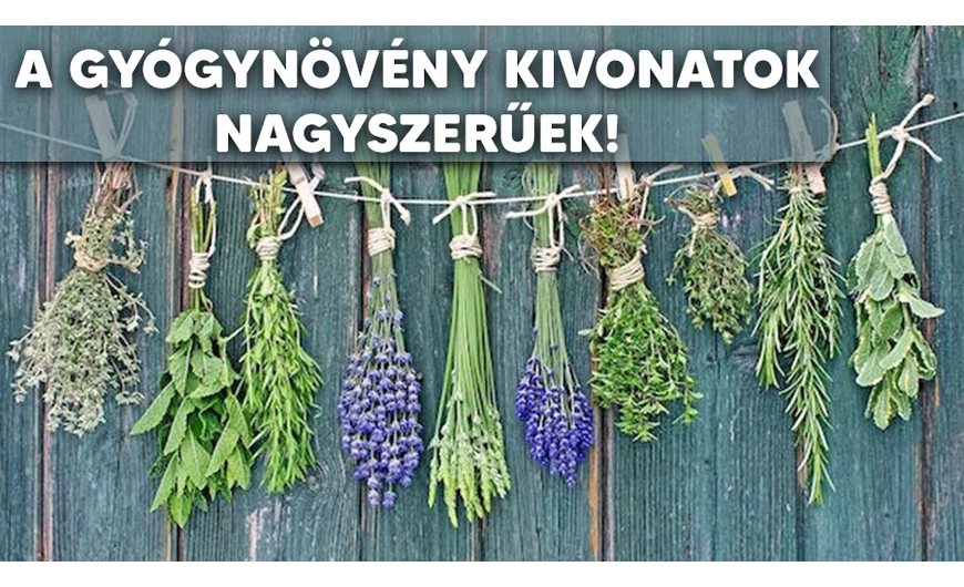 A gyógynövény kivonatok tárháza