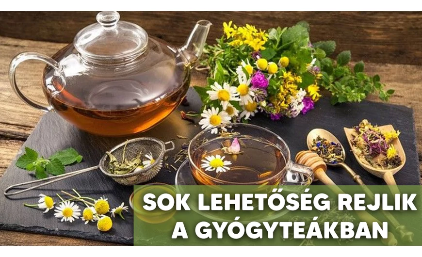 A gyógyteákban rejlő lehetőségek amelyek fontosak!