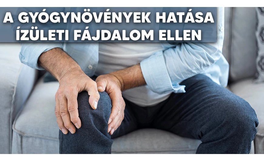 ​Hillvital gyógyfüves balzsam, a gyógynövények esszenciája