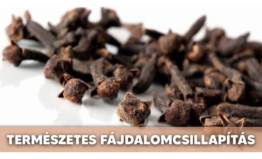 Fájdalomcsillapító gyógynövények