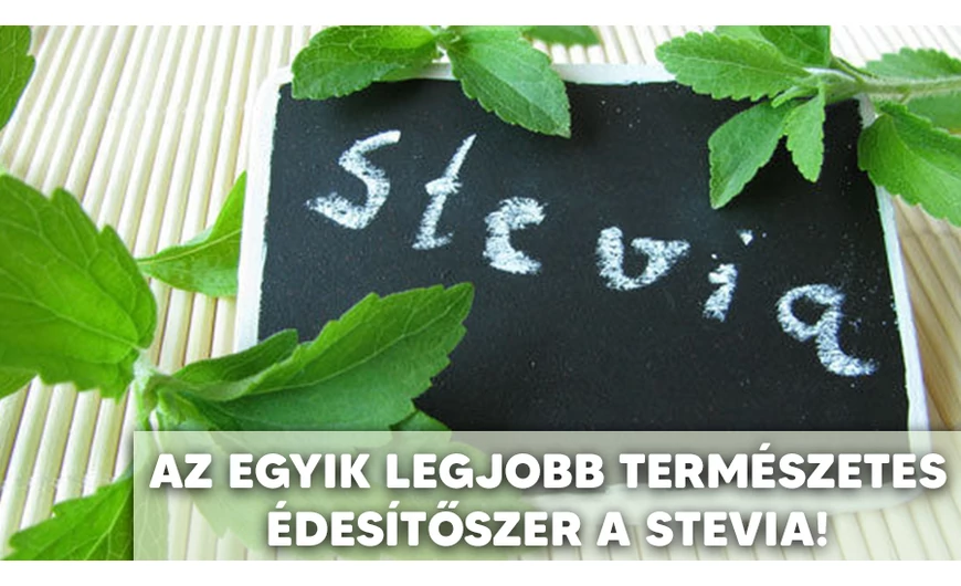 Stevia (Sztívia)