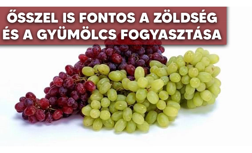 Ősszel is fogyasszunk zöldséget és gyümölcsöt