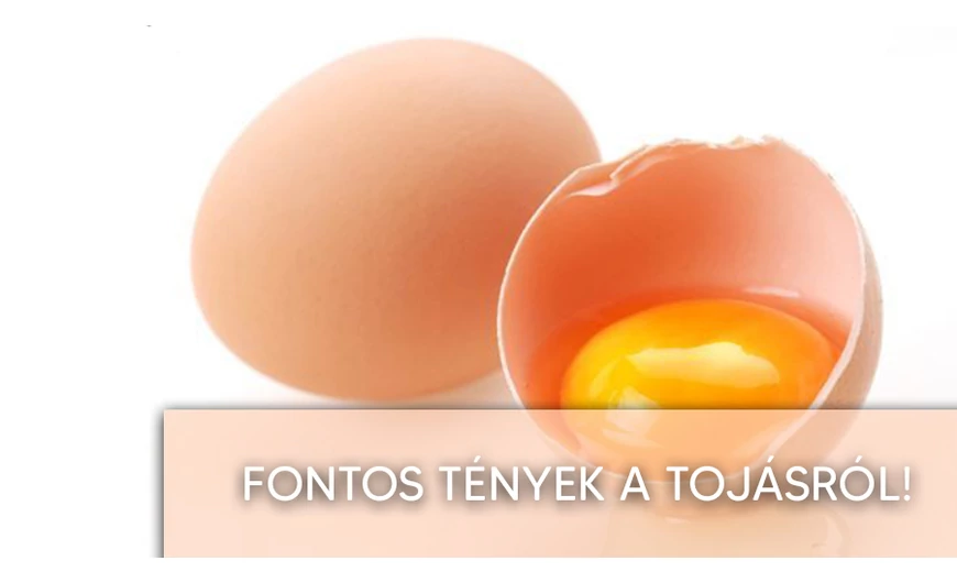 Óriási tévedés a tojással kapcsolatban