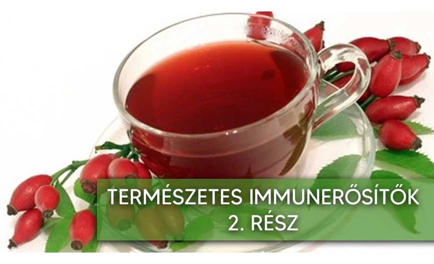 Természetes immunerősítők 2. rész 