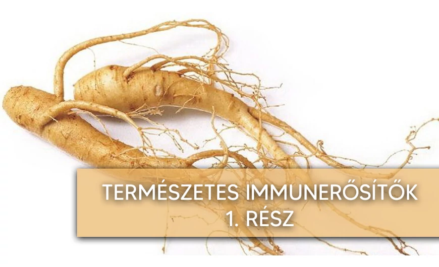 Természetes immunerősítők 1. rész
