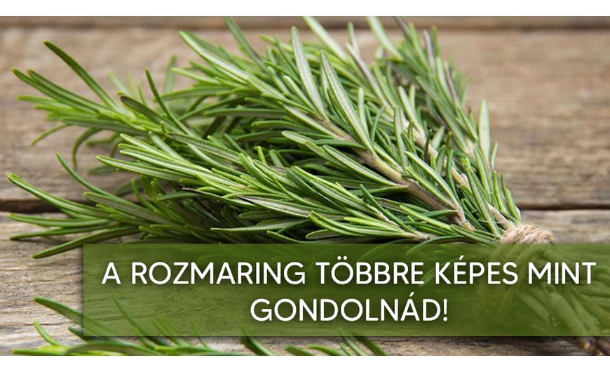 Rozmaring a konyhán kívül? Többre képes, mint hinnéd.