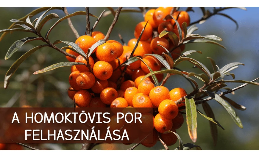 A homoktövis por felhasználása