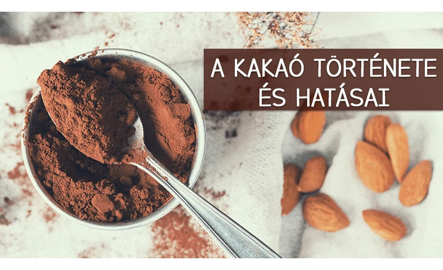 Ismerd meg a kakaó történetét!