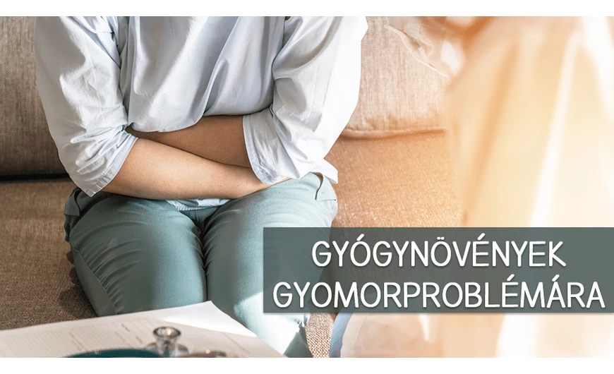 Gyógynövények gyomorproblémákra
