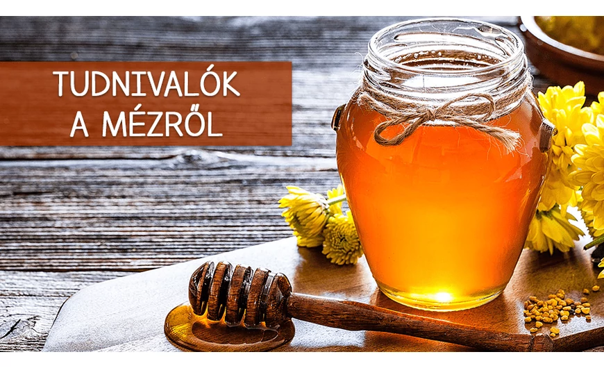 Tudnivalók a mézről