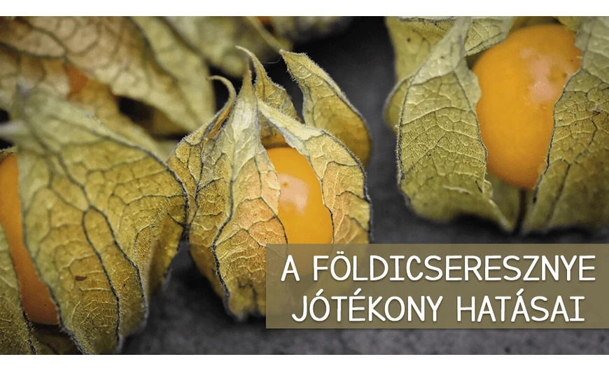 Az ehető földicseresznye