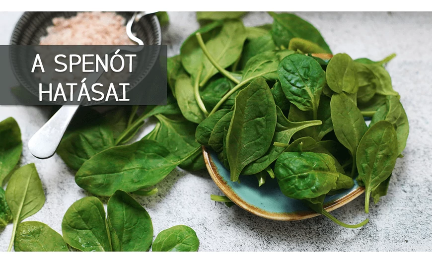Hogy miért is egészséges a spenót? Most megtudhatod!