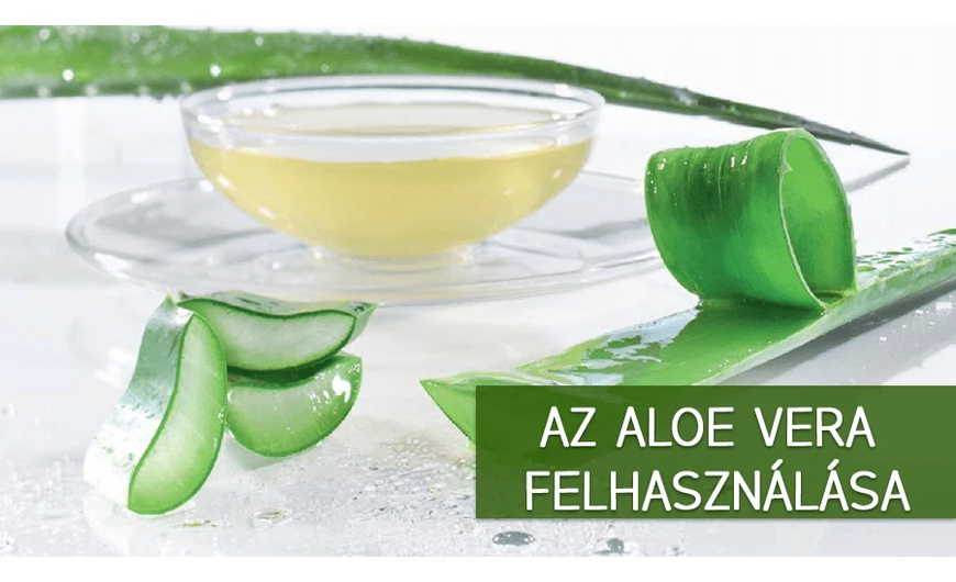 Az Aloe Vera felhasználása