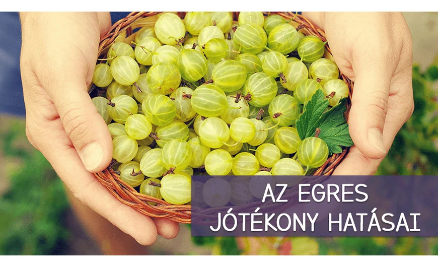 Tudod mikre képes az egres?
