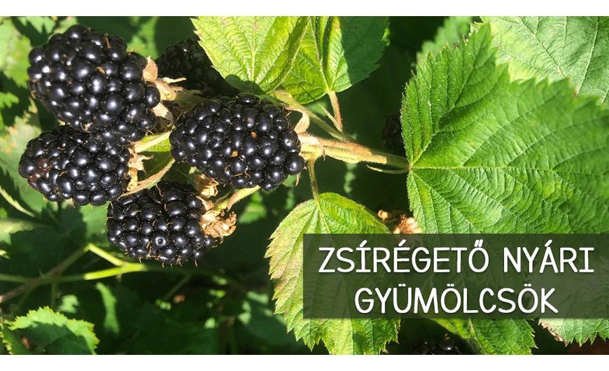 A legjobb zsírégető nyári gyümölcsök 